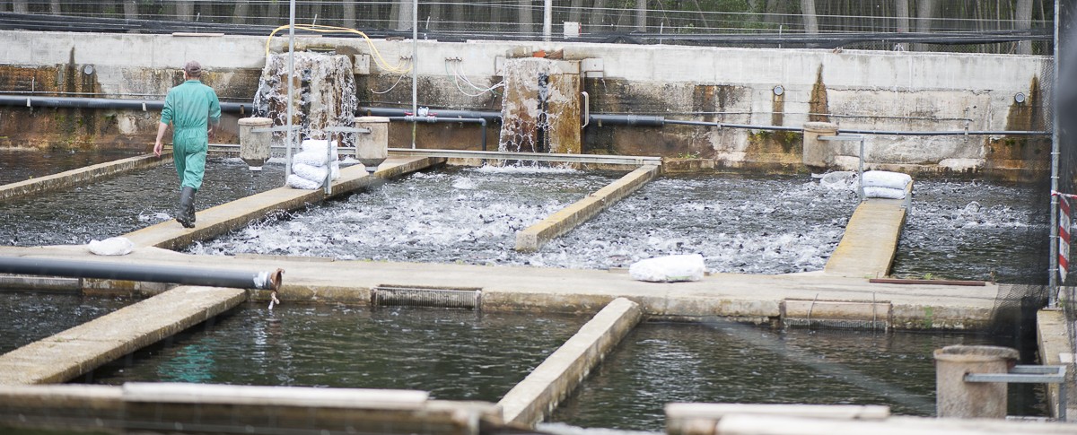 Nuestra cadena de valor.