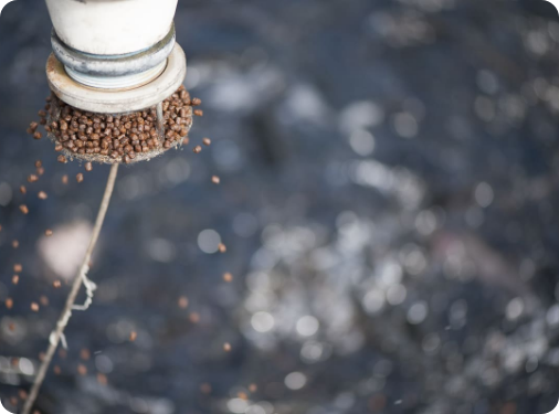 Continuous quality improvement.