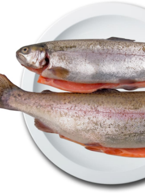 Trucha arcoiris eviscerada